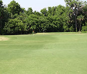 Queen's Tee Party